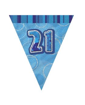 Blue 21st Birthday Party Decorations