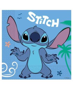 20 Stitch Party Napkins