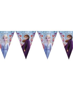 Disney Frozen 2 Party Flag Banner 2.3m