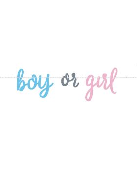 Gender Reveal Party Banner 2m