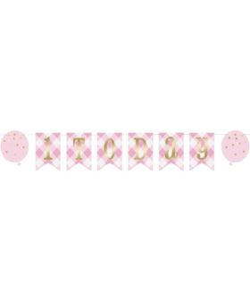 Pink Gingham 1st Birthday Party Pennant Banner 1.8m
